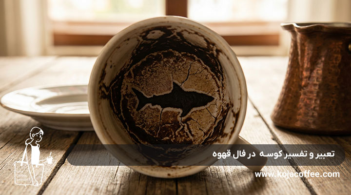 تعبیر و تفسیر کوسه در فال قهوه